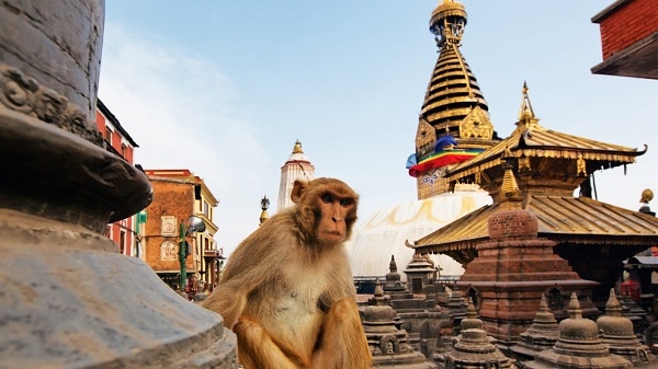 Kathmandu-Swambhuinath